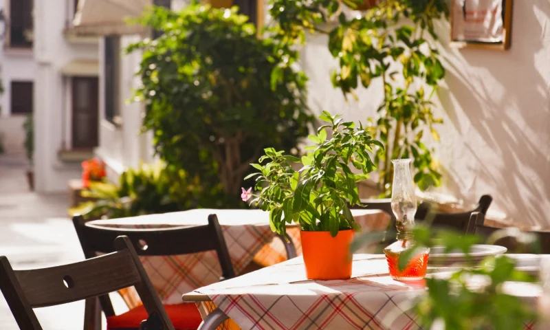 table-outdoors-with-flowers-on-a-street-in-marbell-2024-02-12-16-09-43-utc